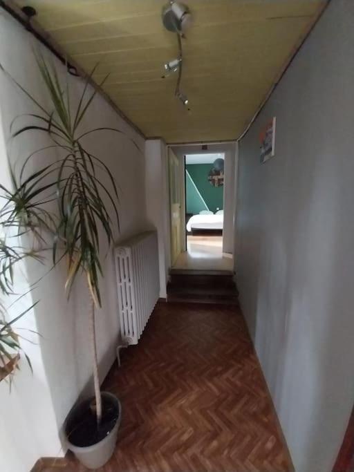 Maison En Pierres Pradinas Zewnętrze zdjęcie